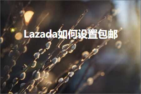 跨境电商知识:Lazada如何设置包邮