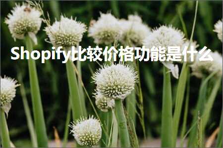 跨境电商知识:Shopify比较价格功能是什么