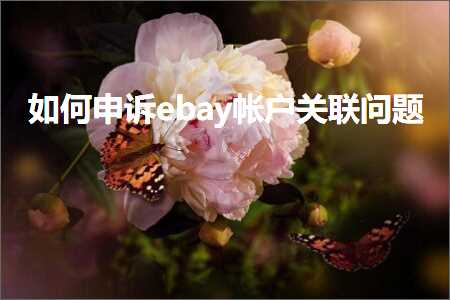 跨境电商知识:如何申诉ebay帐户关联问题