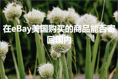 跨境电商知识:在eBay美国购买的商品能否寄回国内