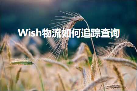 跨境电商知识:Wish物流如何追踪查询