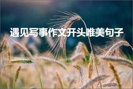 鎯冲幓姹熷崡鐨勫敮缇庡彞瀛愶紙鏂囨559鏉★級